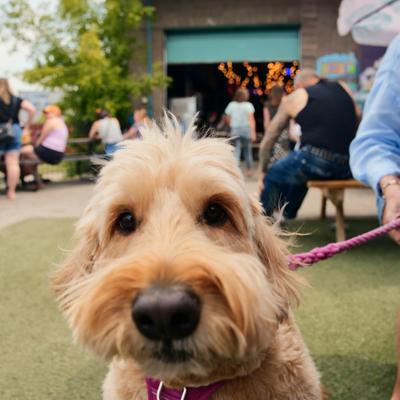 gallery photo number 1