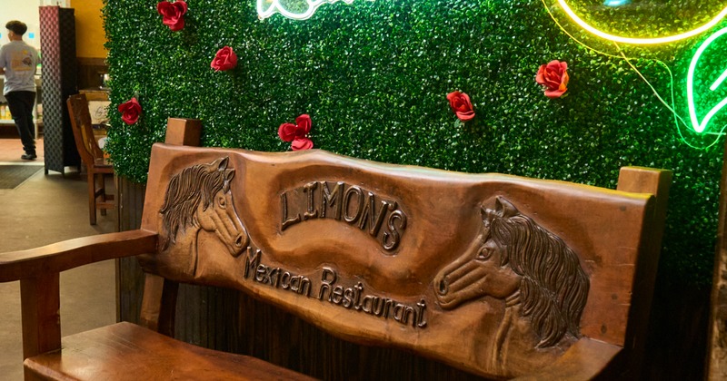 Wooden bench in front the green wall, sign light above