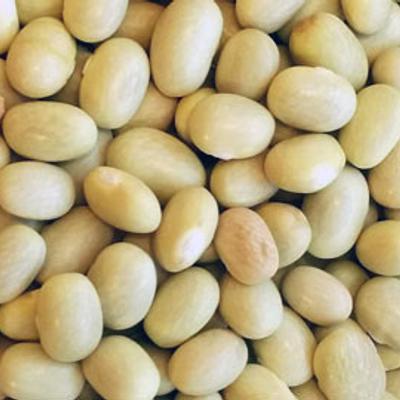 gallery photo number 20