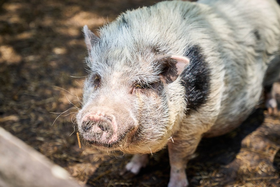 Weekend Wine-Down event photo