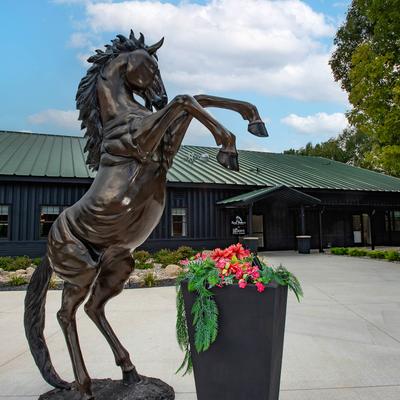 Exterior, a statue of a horse rearing up.