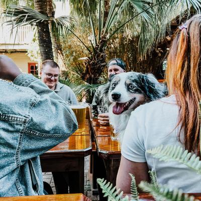 A group of cheerful guests enjoying beer at an outdoor table, with  a dog companion.