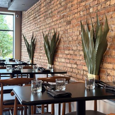 Exposed brick wall dining room featuring black tables and large agave plants.