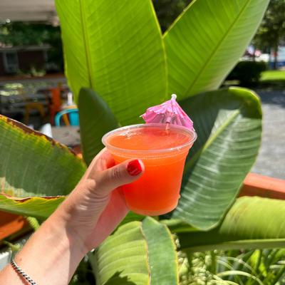 A person raises a red drink in front of a lush palm tree.