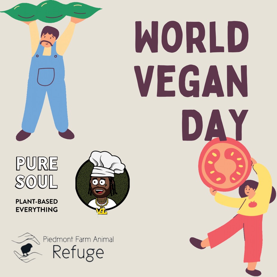 World Vegan Day event photo