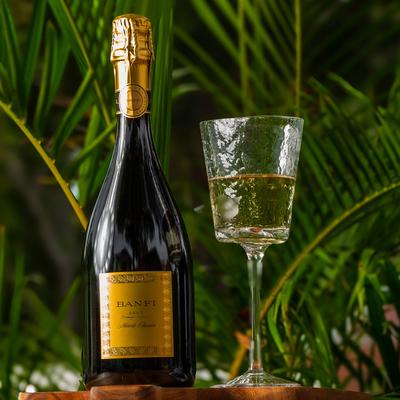 Banfi Brut sparkling wine, bottle and glass resting in front of palm branches.