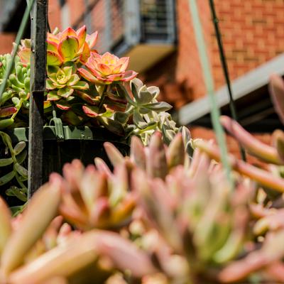 gallery photo number 121