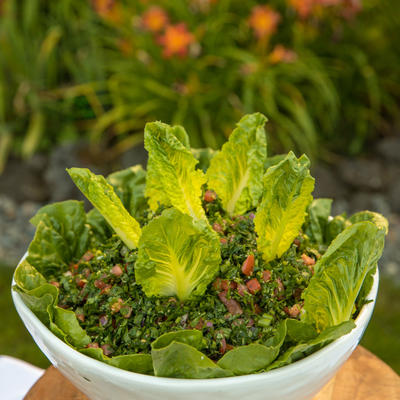 Green salad with decorations