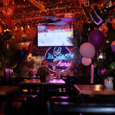 gallery photo number 257