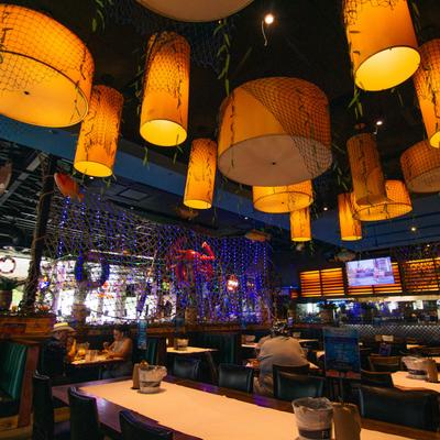 gallery photo number 8