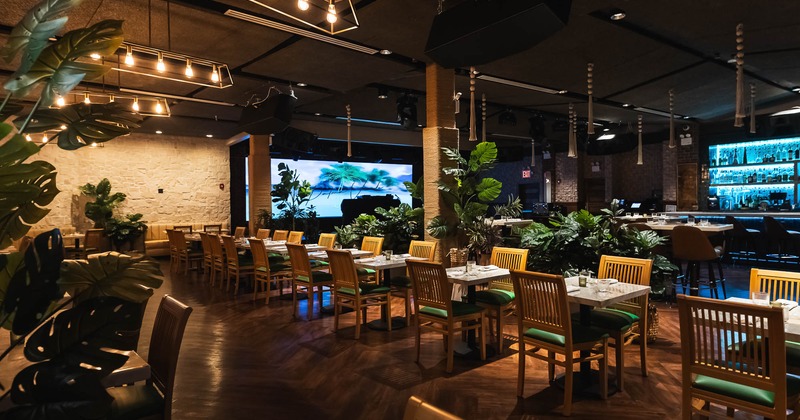 Interior, lined up tables for two