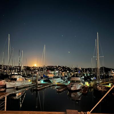 A marina at night with boats beneath a starry sky.