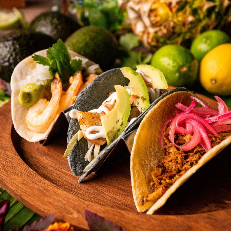 Grilled / Fish Taco photo