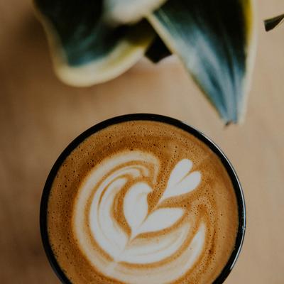 gallery photo number 19