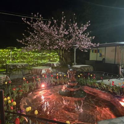 gallery photo number 22