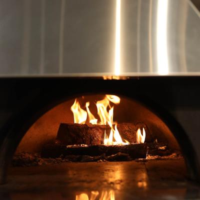 A fireplace with wood burning.