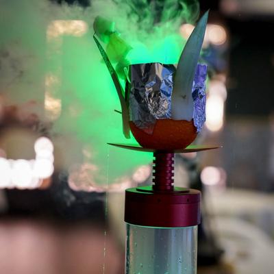 gallery photo number 11