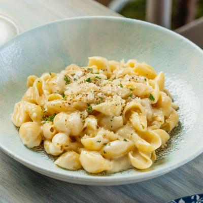 Conchiglie ai Quattro Formaggi Shells in 4 Cheeses: Fontina, Gruyere, Mozzarella, Parmigiana.