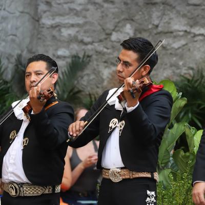 gallery photo number 4