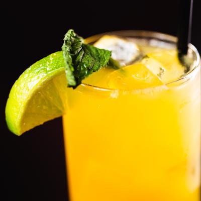 gallery photo number 22