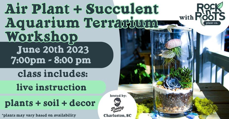 Air Plant + Succulent Aquarium Terrarium Workshop event photo