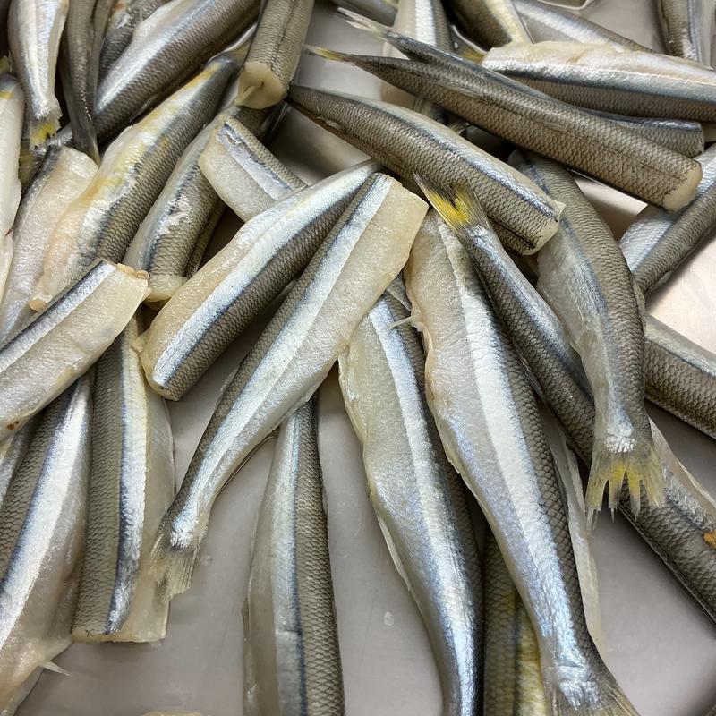 Smelts photo