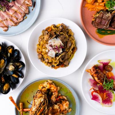 small plate tapas food, octopus, mussels, duck fettucine.