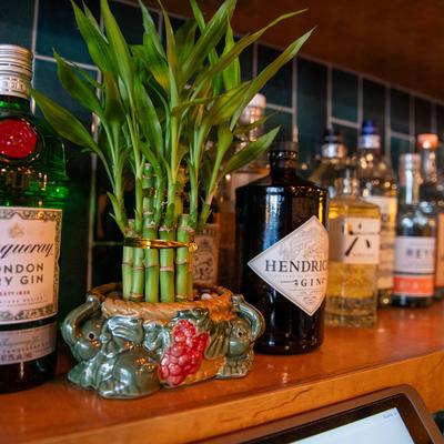 Gin bottles and bar decoration.
