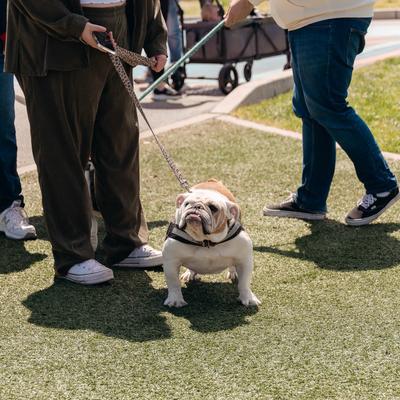 gallery photo number 42