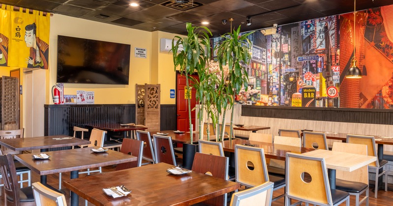 A brightly lit interior with wooden tables, colorful chairs, a cityscape mural and a green plant