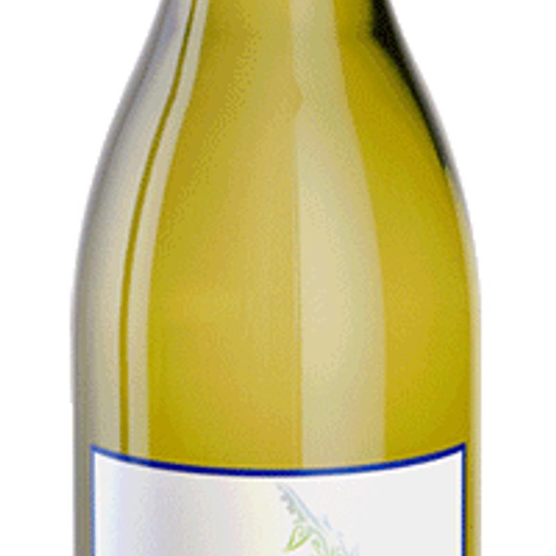 Stone Bay Sauvignon Blanc photo