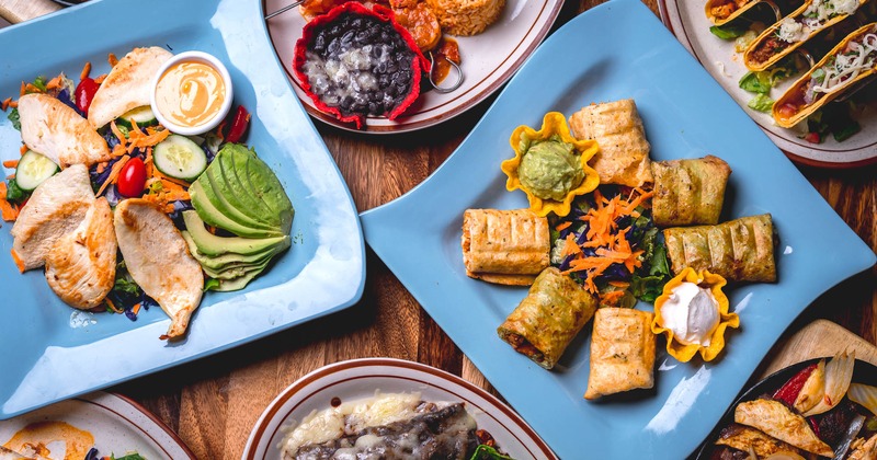 Camarones a la Diabla, Taquitos Dorados, Enchilada Oaxaca with Black Beans, top view