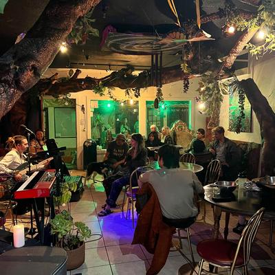 Lots of guests at the bar.