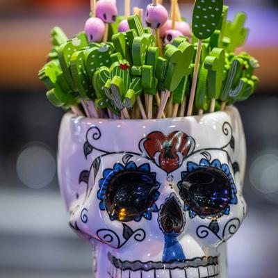 Sugar scull vase with wooden plants.
