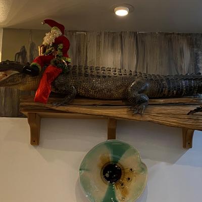 Santa Gator.