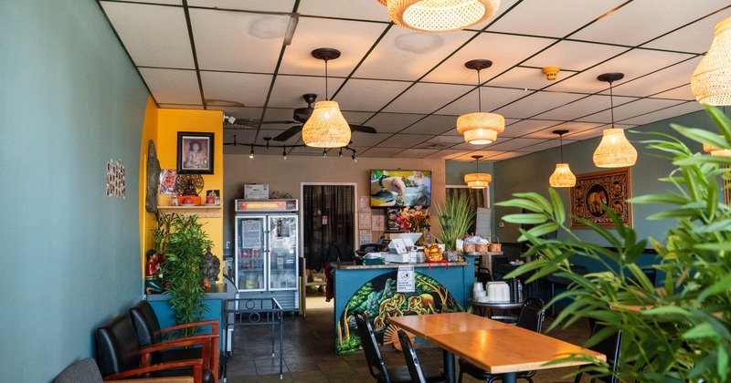 Interior with teal walls, wooden furniture, woven pendant lights, and decorative plants