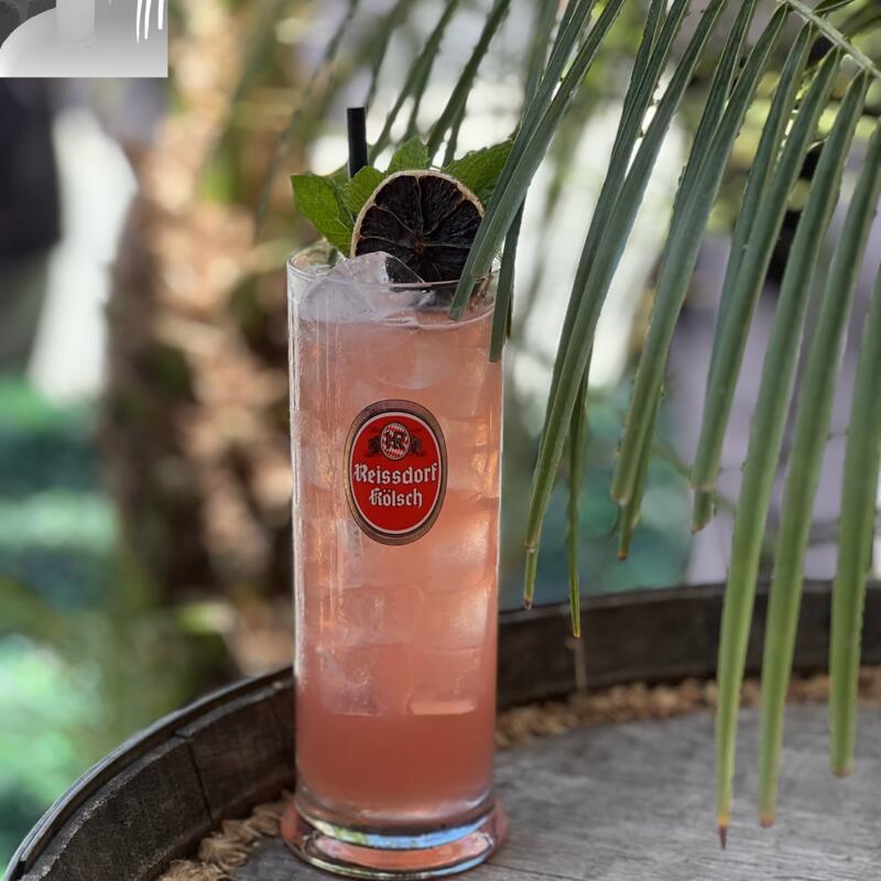 Hibiscus Bloom photo