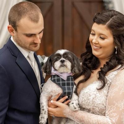 gallery photo number 14