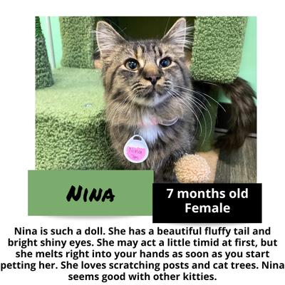 gallery photo number 8