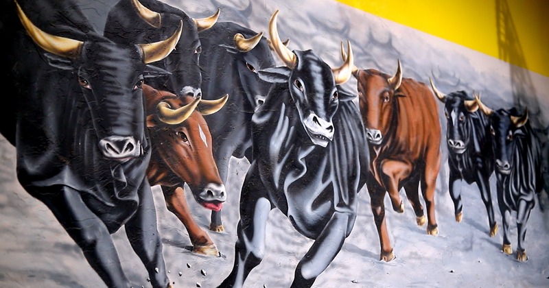 A herd of stampeding cows drawn on the wall