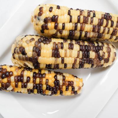 Multi-colored sweet corn on the cob.