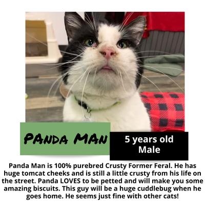 gallery photo number 11