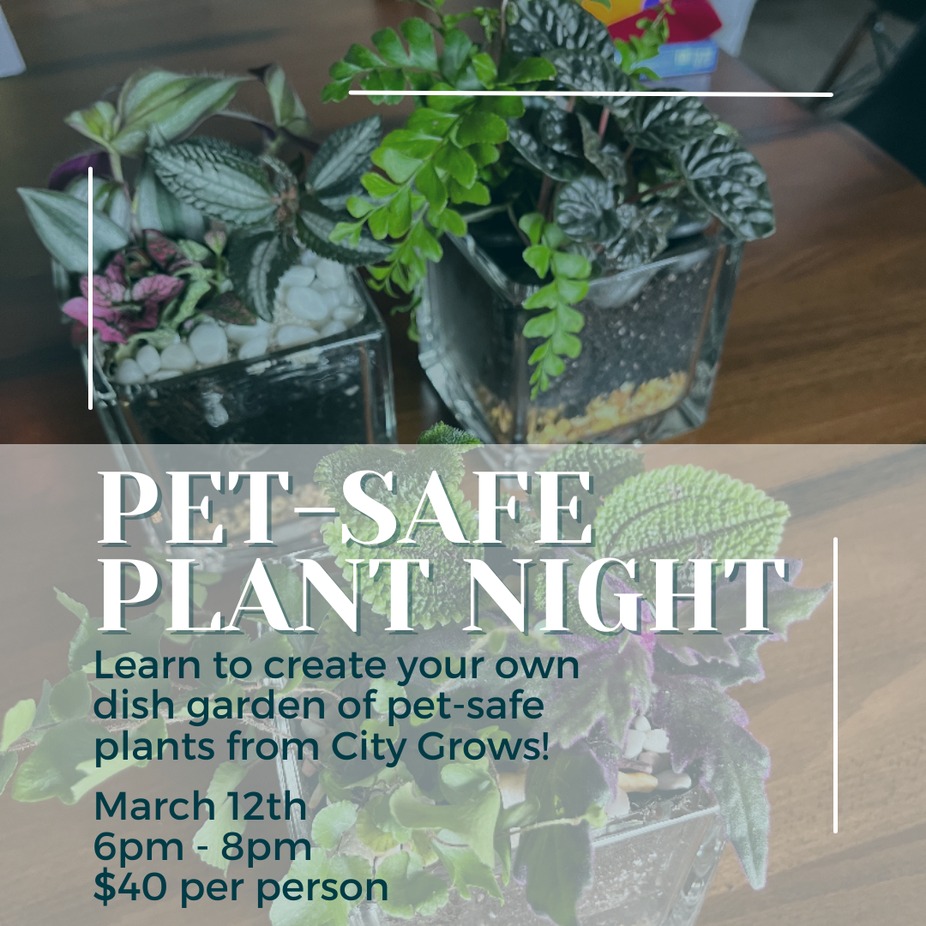 Pet-Safe Plant Night - March 12 event photo