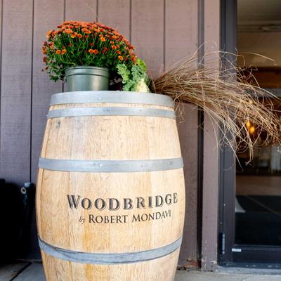 gallery photo number 58