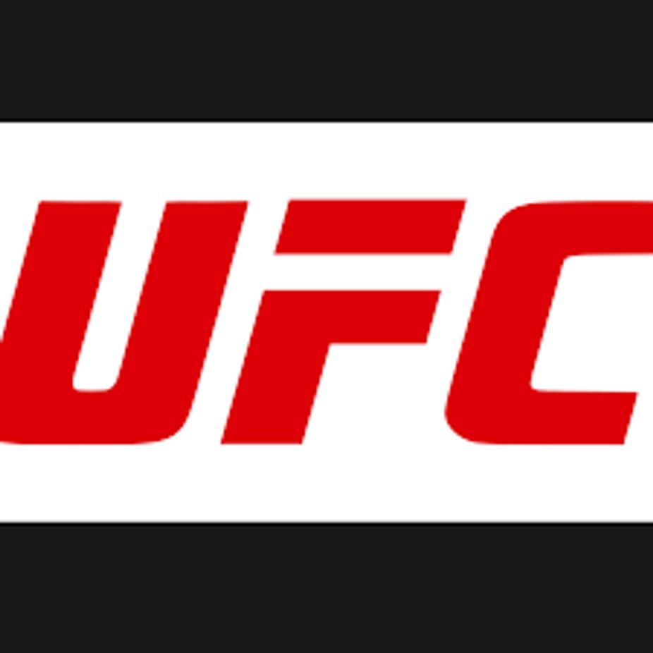 UFC 301: Pantoja v Erceg event photo