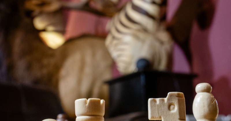 Chess figures in the foreground and trophies of African animals on the wall behind