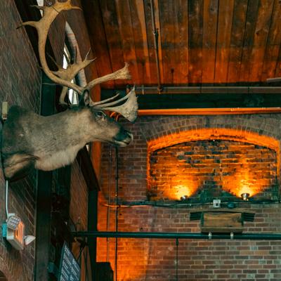 gallery photo number 12