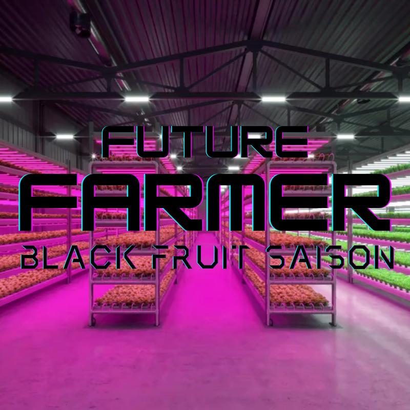 Future Farmer (Black Fruit Saison) photo