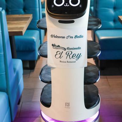 An electric smart serving appliance named Bella.