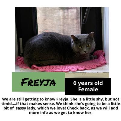 gallery photo number 15